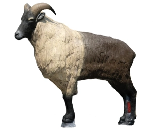 Himálajský Tahr, terč SRT