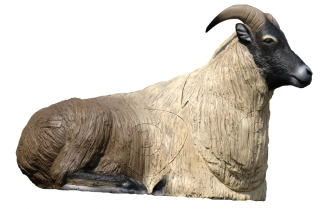 Himálajský Tahr ležící, terč SRT